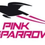 Pink Sparrow